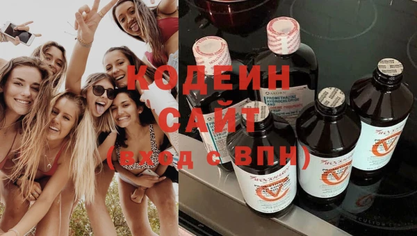гашик Елизово