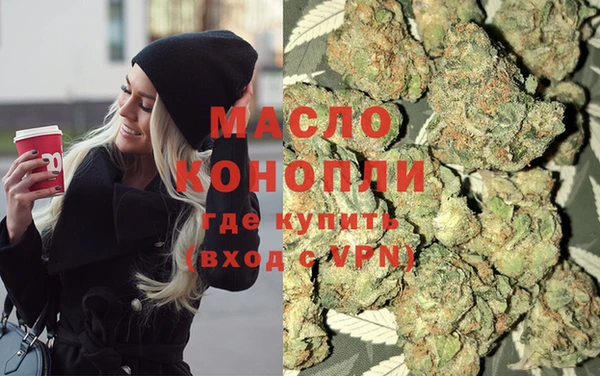 гашик Елизово