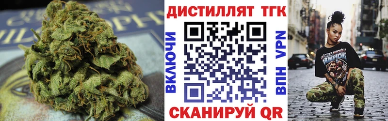 ТГК THC oil  Купить закладки  Бабушкин 