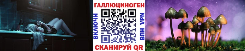 Галлюциногенные грибы GOLDEN TEACHER  Купить  Бабушкин 
